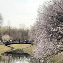 北京旅游 缩略图 7