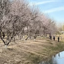 北京旅游 缩略图 8