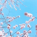 北京旅游 缩略图 4