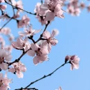 北京旅游 缩略图 6