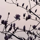 北京旅游 缩略图 4
