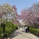 北京旅游 缩略图 1