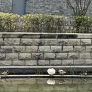 北京旅游 缩略图 10
