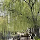 北京旅游 缩略图 9