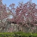 北京旅游 缩略图 6