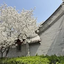 北京旅游 缩略图 3