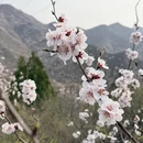 北京旅游 缩略图 1
