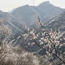 北京旅游 缩略图 2