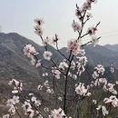 北京旅游 缩略图 8