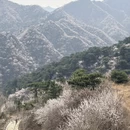 北京旅游 缩略图 7
