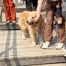 北京旅游 缩略图 5