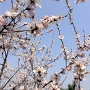 北京旅游 缩略图 6