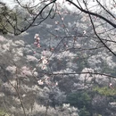北京旅游 缩略图 4