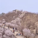 北京旅游 缩略图 2
