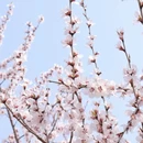 北京旅游 缩略图 4