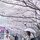 上海旅游 缩略图 6