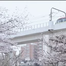 上海旅游 缩略图 4