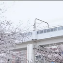 上海旅游 缩略图 5