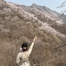 北京旅游 缩略图 1
