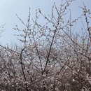 北京旅游 缩略图 2