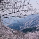 北京旅游 缩略图 1