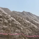 北京旅游 缩略图 6