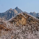 北京旅游 缩略图 2