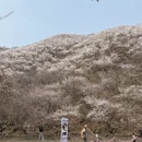北京旅游 缩略图 3