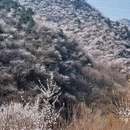 北京旅游 缩略图 7