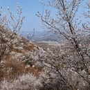 北京旅游 缩略图 4