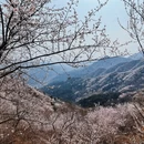北京旅游 缩略图 8