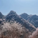 北京旅游 缩略图 6