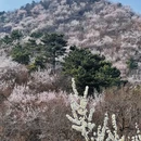 北京旅游 缩略图 3
