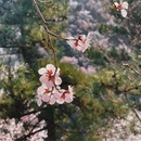 北京旅游 缩略图 9