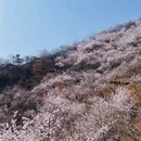 北京旅游 缩略图 10