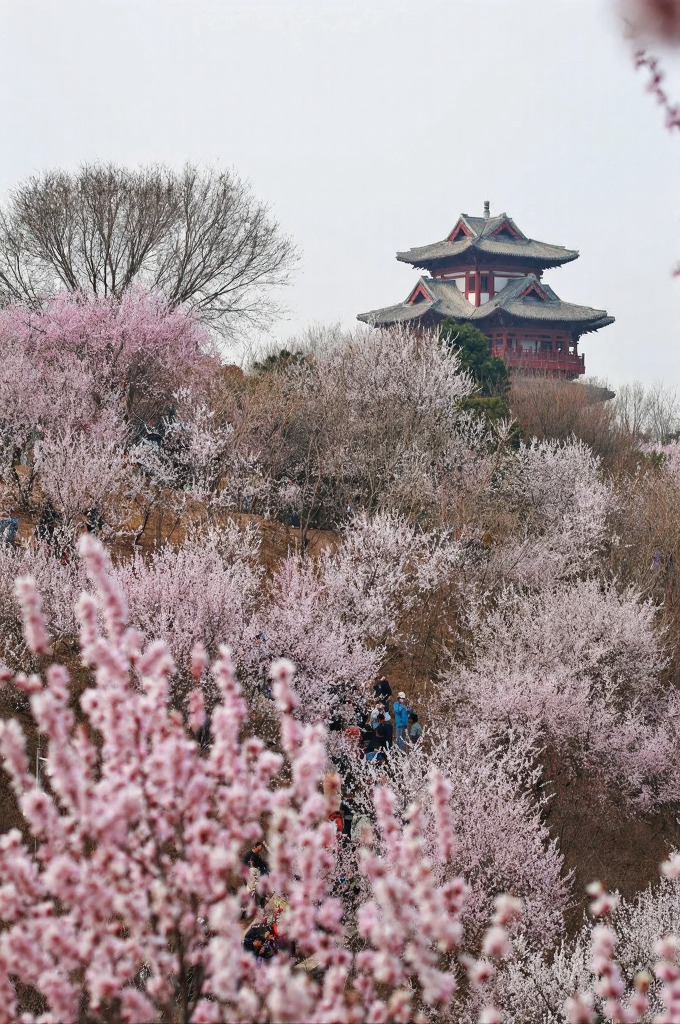 北京旅游
