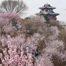 北京旅游 缩略图 1