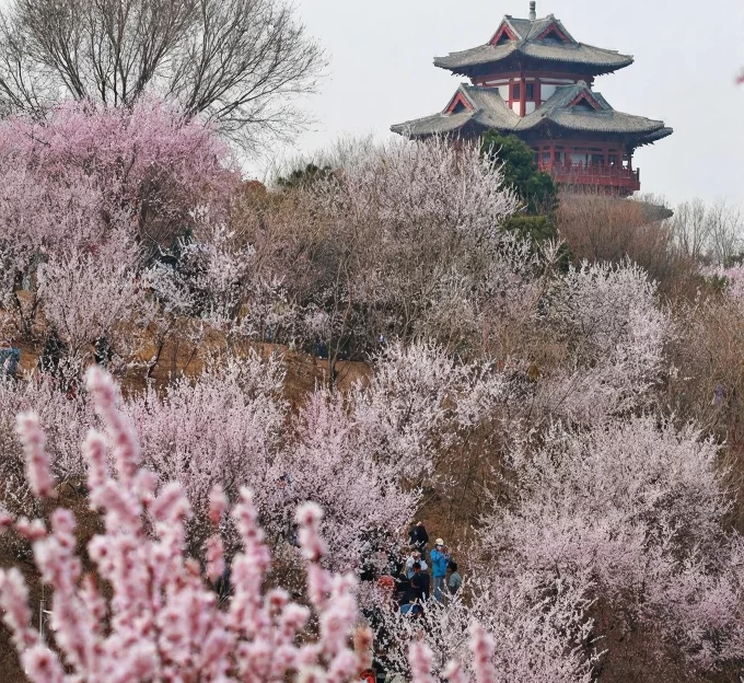 北京旅游 1