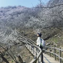 北京旅游 缩略图 11