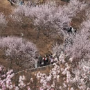 北京旅游 缩略图 3