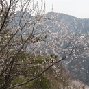 北京旅游 缩略图 2
