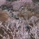 北京旅游 缩略图 2