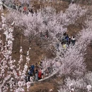 北京旅游 缩略图 5