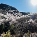 北京旅游 缩略图 3