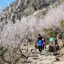 北京旅游 缩略图 4