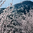 北京旅游 缩略图 5