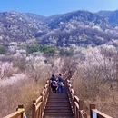 北京旅游 缩略图 1