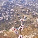 北京旅游 缩略图 2