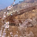 北京旅游 缩略图 3
