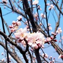北京旅游 缩略图 7